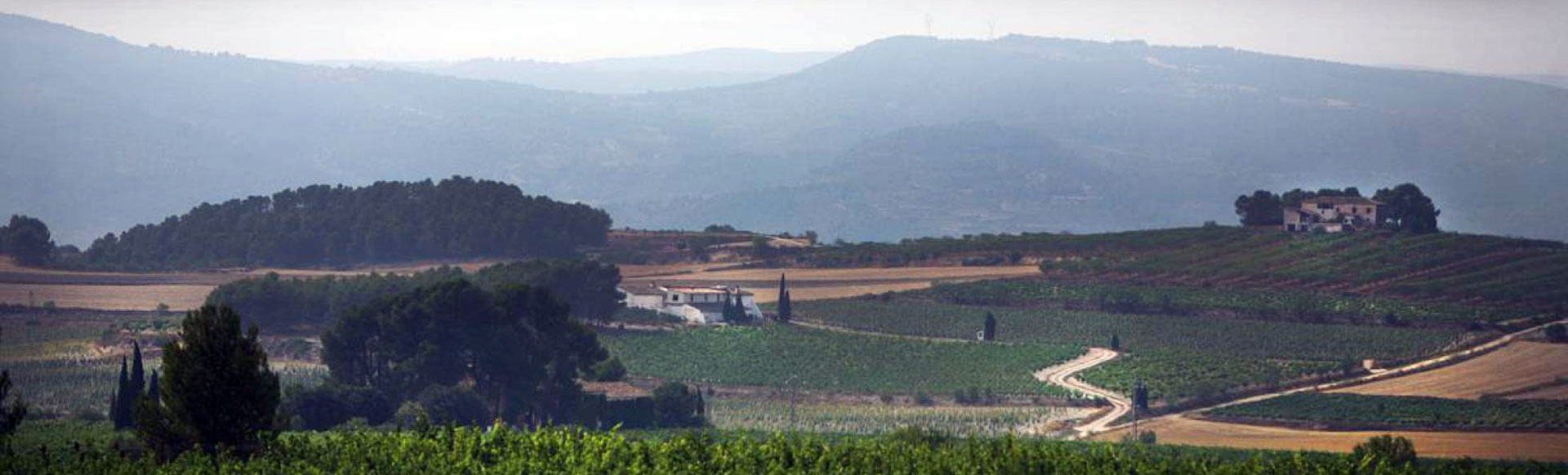 valle